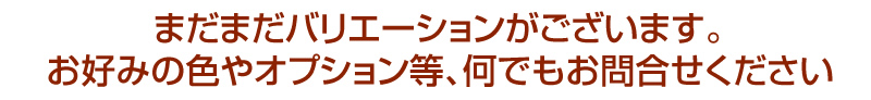 まだまだバリエーションがございます。お好きな色やイプションなど、何でもお問合せ下さい